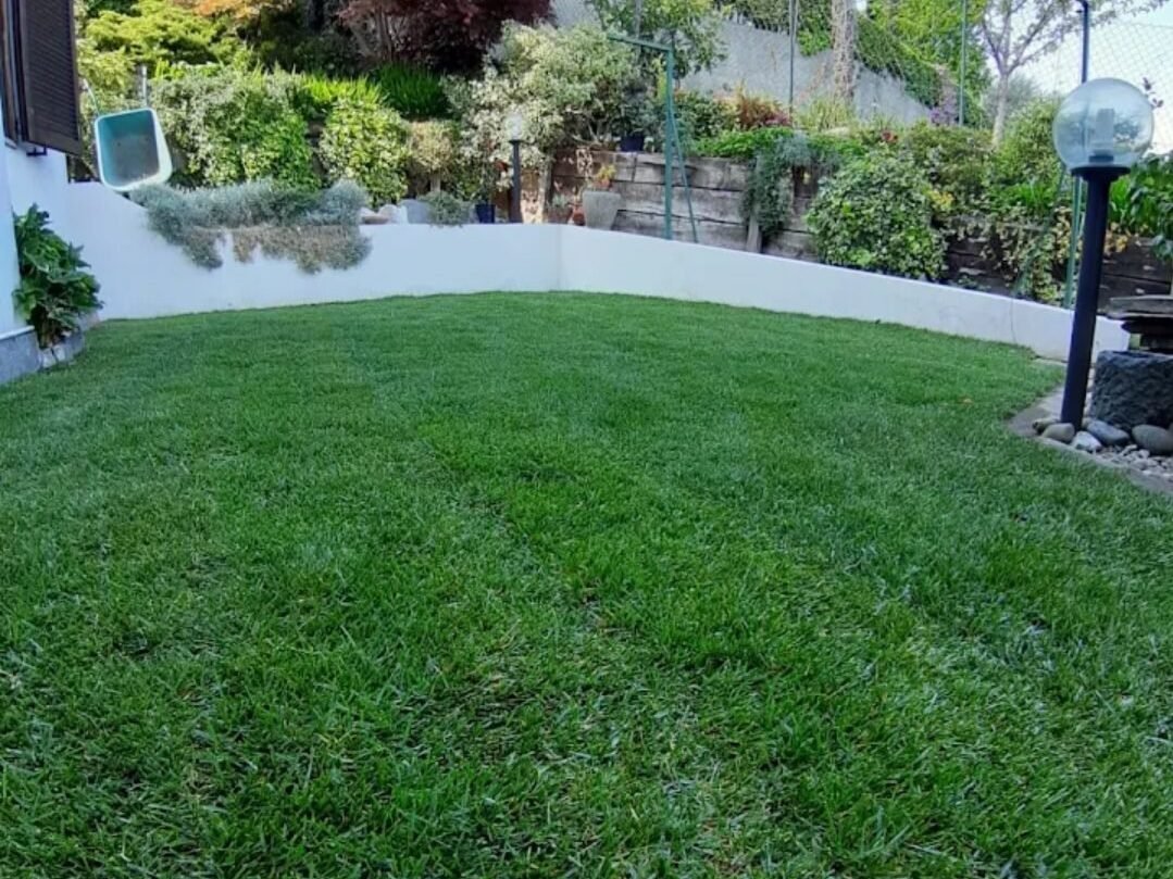 Prato verde curato in un giardino privato
