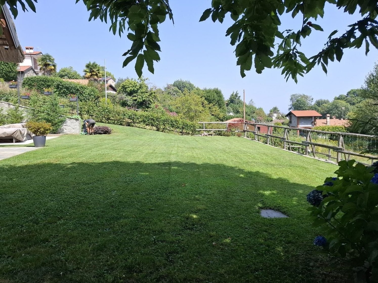 Ampio prato all'ombra degli alberi