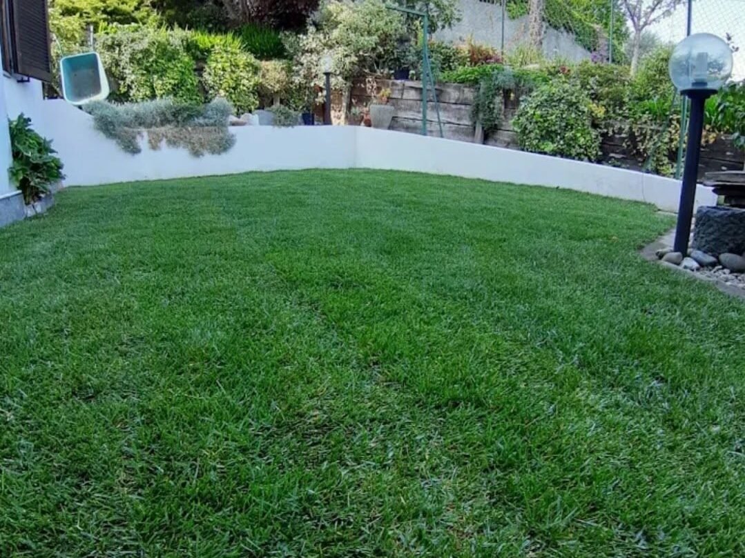 Giardino privato con prato rigoglioso
