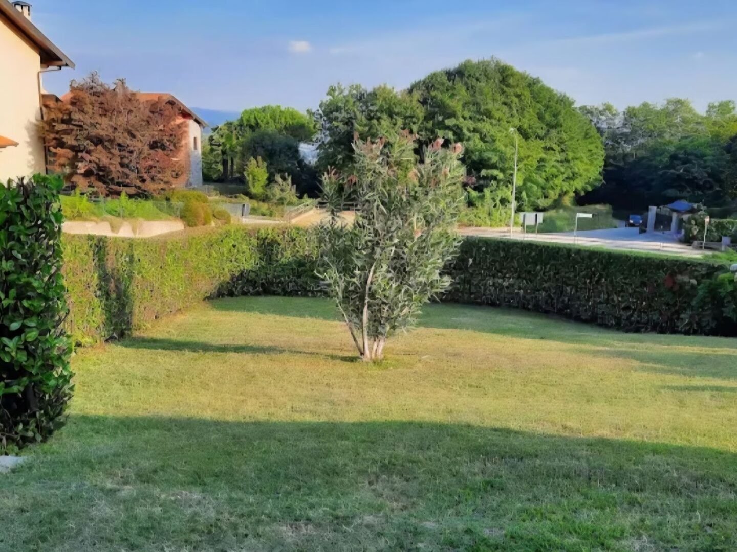 Giardino con siepi e alberi ornamentali