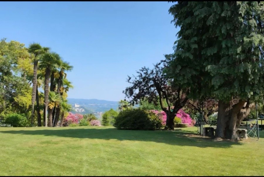 Prato curato con palme e piante ornamentali, panorama collinare sullo sfondo