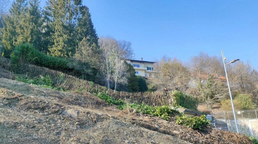 Terreno in fase di pulizia e sgombero delle risulte vegetali