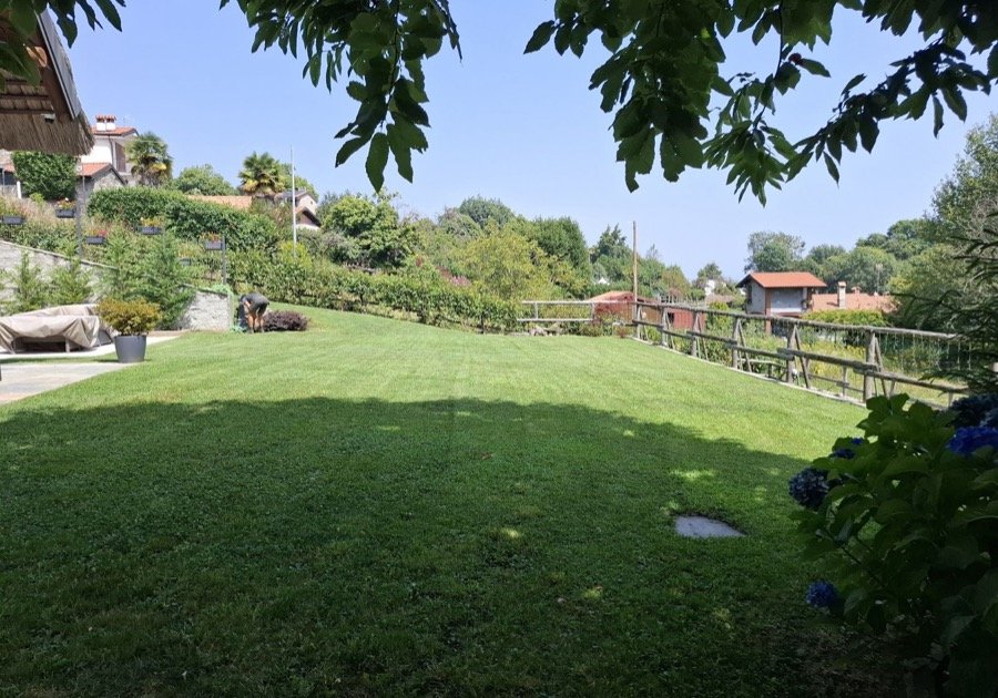 Ampio giardino con prato uniforme e siepi perimetrali realizzato da Bertola Giardini