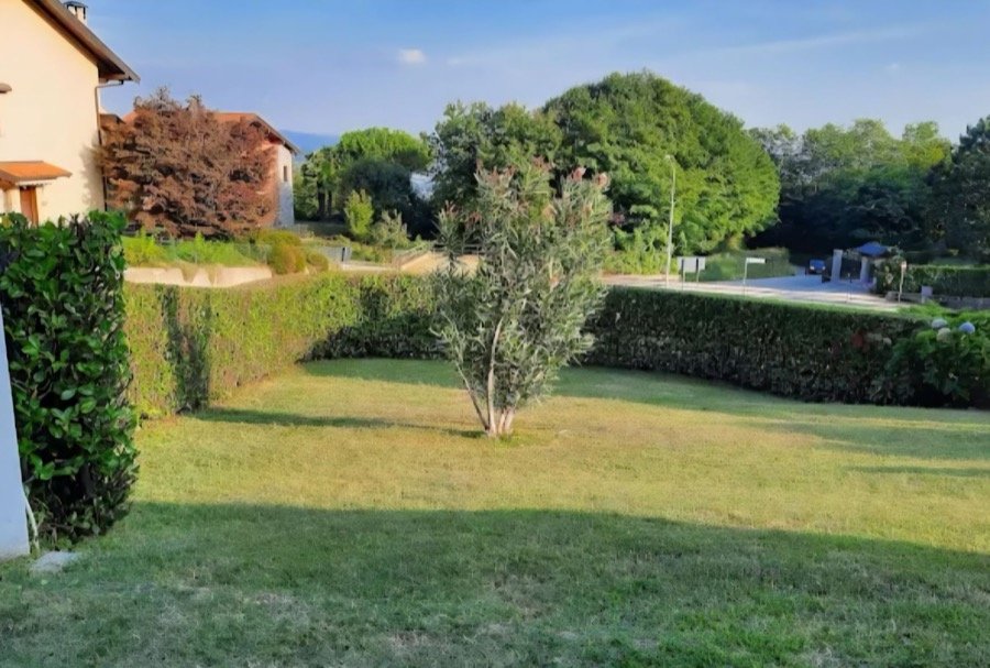 Giardino di campagna con siepi geometriche curate e un ulivo al centro